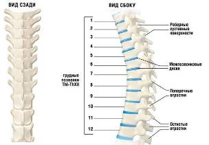 la osteocondrosis cervical